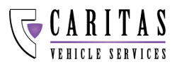 CARITAS-logo-dark