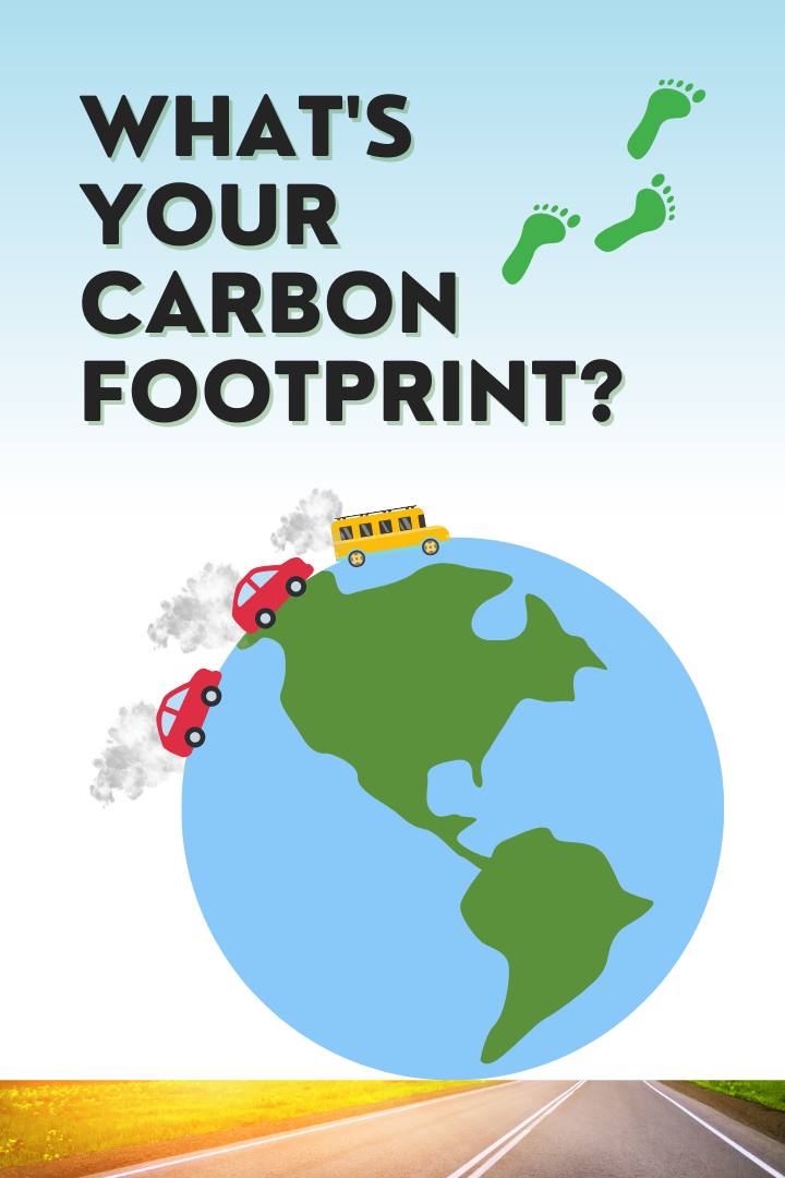 Carbon Footprint Report Page Graphic