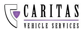CARITAS-logo-dark-2